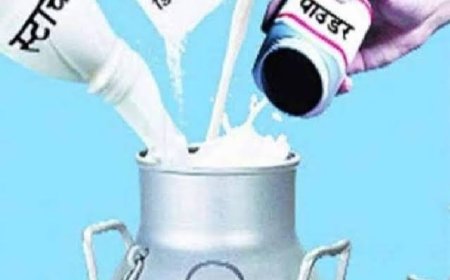 होली के दिन भी जारी रही खाद्य सुरक्षा विभाग की छापेमारी, 23 नमूने लेकर जांच के लिए वाराणसी भेजे