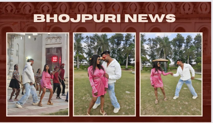 प्रेम सिंह और रानी एक्ट्रेस का दिखेगा धमाकेदार जोड़ी टोनी फिल्म्स पर