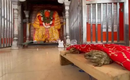 गर्मी से राहत ,बारिश के लिये वाराणसी में हुई अनोखी शादी