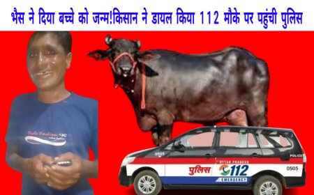 भैस ने बच्चे को दिया जन्म,किसान ने 112 डायल कर बुलाया पुलिस