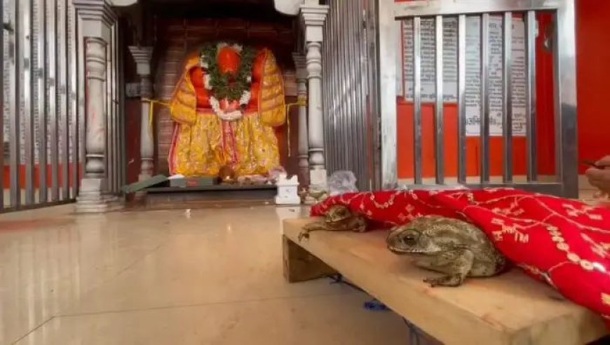 गर्मी से राहत ,बारिश के लिये वाराणसी में हुई अनोखी शादी