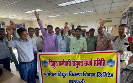 बिजली के निजीकरण का देशव्यापी सांकेतिक जबरदस्त विरोध,हड़ताल