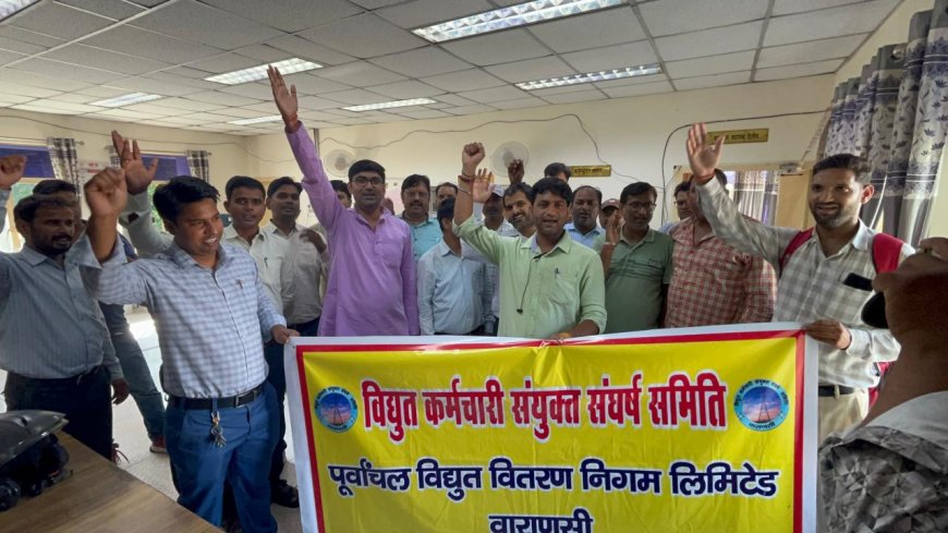 बिजली के निजीकरण का देशव्यापी सांकेतिक जबरदस्त विरोध,हड़ताल