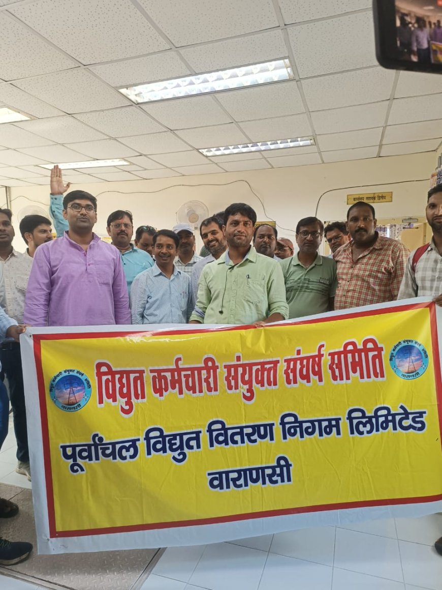 बिजली के निजीकरण का देशव्यापी सांकेतिक जबरदस्त विरोध,हड़ताल