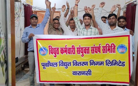 निजीकरण के विरोध में प्रांत भर में  विधुतकर्मियो का विरोध प्रदर्शन जारी