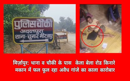 मिर्ज़ापुर: थाना व चौकी के पास  केला बेला रोड किनारे मकान में फल फूल रहा अवैध गांजे का काला कारोबार