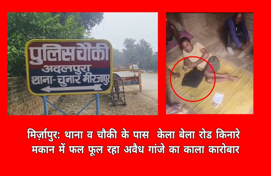 मिर्ज़ापुर: थाना व चौकी के पास  केला बेला रोड किनारे मकान में फल फूल रहा अवैध गांजे का काला कारोबार