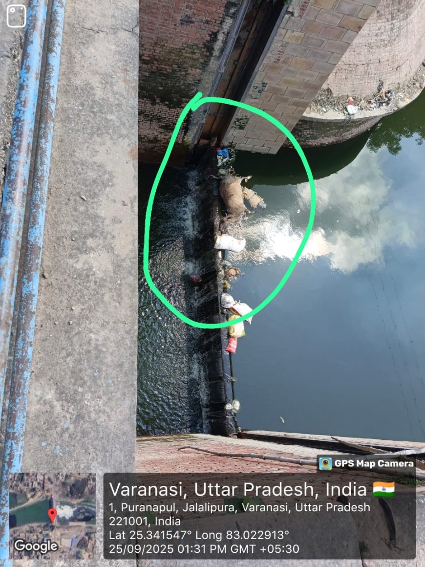 वाराणसी के युवक ने जनसुनवाई पर उठाये सवाल मुख्यमंत्री से शिकायत करने की कही बात!