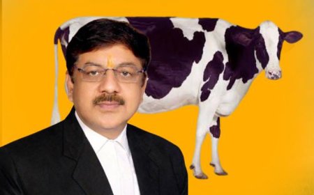 गौ-रक्षा के नाम पर राजनीतिक प्रोपेगेंडा उचित नहीं — शशांक शेखर त्रिपाठी