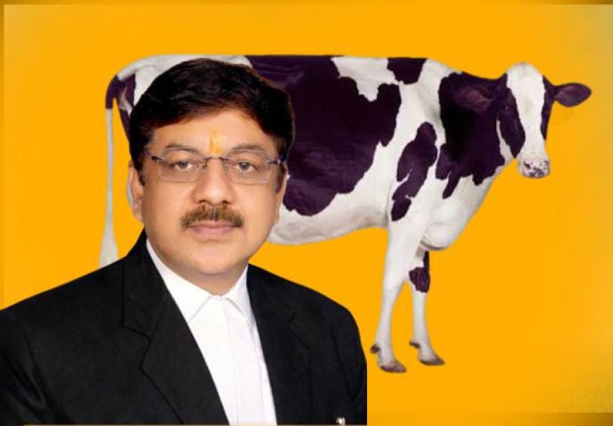 गौ-रक्षा के नाम पर राजनीतिक प्रोपेगेंडा उचित नहीं — शशांक शेखर त्रिपाठी