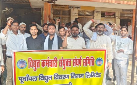 पूर्वांचल सहित अन्य जगहों पर वर्टिकल रिस्ट्रक्चरिंग के नाम पर संविदा कर्मियों की छंटनी, नियमित कर्मचारियों का दूर स्थानांतरण एवं मेरठ में अभियंताओं व जूनियर इंजीनियरों के निलंबन से बिजली कर्मियों में भारी आक्रोश