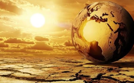 नौतपा कल से शुरू: 9 दिन तपेगी धरती, 45° पार जाएगा पारा | किसान बोले- यही है फ्री कीटनाशक