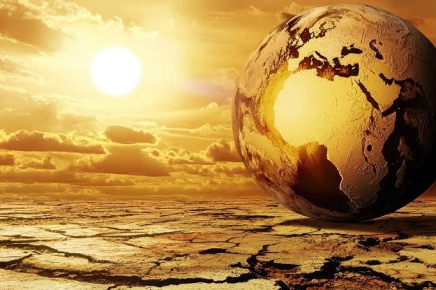 नौतपा कल से शुरू: 9 दिन तपेगी धरती, 45° पार जाएगा पारा | किसान बोले- यही है फ्री कीटनाशक