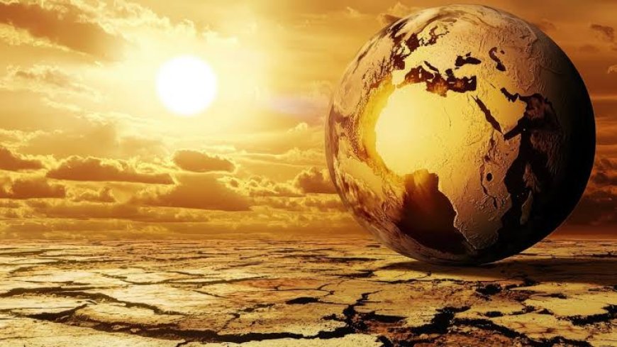 नौतपा कल से शुरू: 9 दिन तपेगी धरती, 45° पार जाएगा पारा | किसान बोले- यही है फ्री कीटनाशक