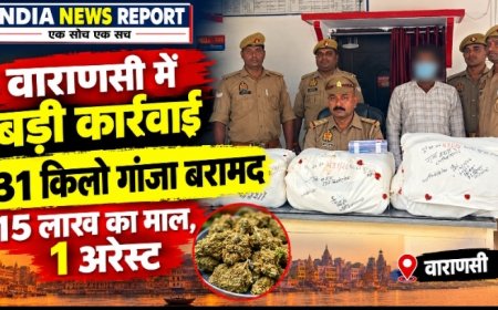 वाराणसी थाना सिगरा पुलिस द्वारा 31 किलो गांजा बरामद, 15 लाख कीमत, 1 तस्कर गिरफ्तार