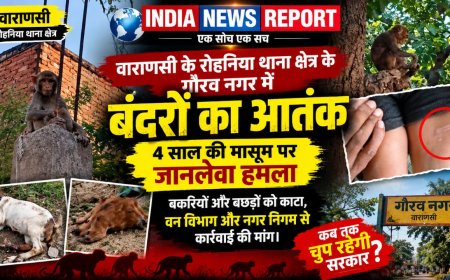 Varanasi में बंदरों का भयंकर आतंक: 4 साल की मासूम सुकन्या समेत कई मवेशियों को काटकर किया लहूलुहान, दहशत में गौरव नगर कॉलोनी