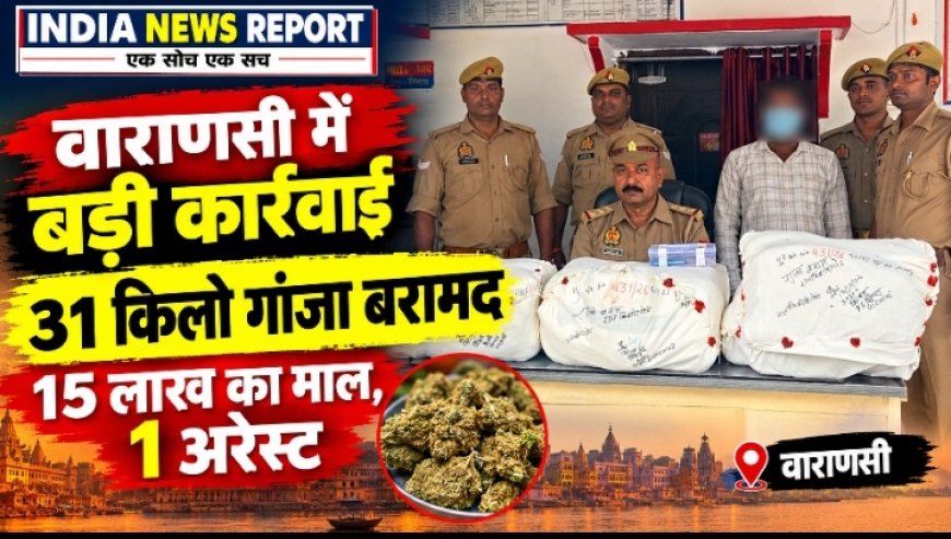 वाराणसी थाना सिगरा पुलिस द्वारा 31 किलो गांजा बरामद, 15 लाख कीमत, 1 तस्कर गिरफ्तार