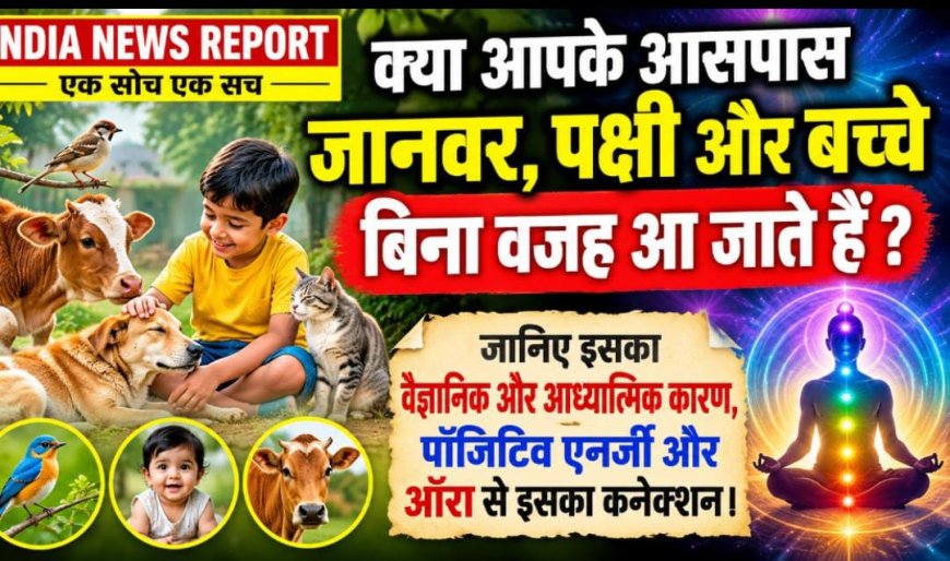क्या आपके पास जानवर, पक्षी और छोटे बच्चे खिंचे चले आते हैं? ये है पॉजिटिव एनर्जी का संकेत